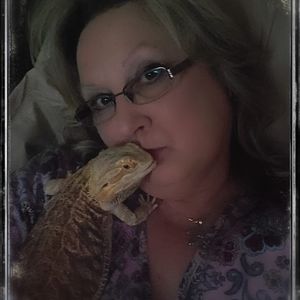 Meet your Posher, Joyce